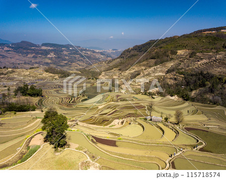 Aerial drone view of Yuanyang rice terrace at sunrise, Yunnan province, China 115718574