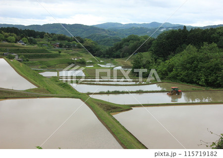 大垪和の棚田で見る日本の原風景 大垪和の棚田で見る日本の原風景 115719182