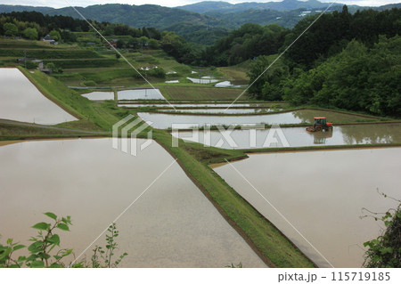 春の棚田:水面に映る山間の美景 春の棚田:水面に映る山間の美景 115719185