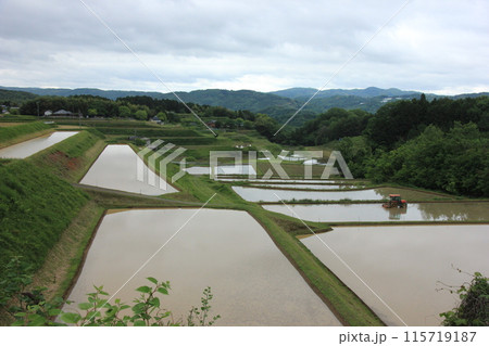 トラクターが行く：田植えの季節 115719187