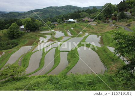 伝統と現代が交錯する棚田の風景 伝統と現代が交錯する棚田の風景 115719193