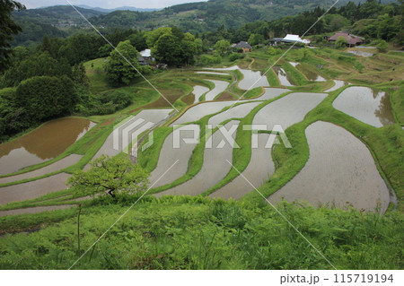 日本の原風景:岡山の田園地帯 日本の原風景:岡山の田園地帯 115719194
