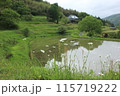 自然と調和する大垪和の棚田風景 115719222