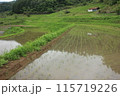 自然と共に生きる：岡山の棚田の四季 115719226
