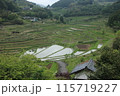 岡山の大垪和：美しい棚田のパノラマ 115719227