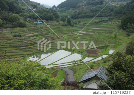 岡山の大垪和:美しい棚田のパノラマ 岡山の大垪和:美しい棚田のパノラマ 115719227