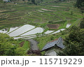 春の大垪和：棚田が広がる風景 115719229