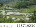 大垪和の棚田：緑豊かな農村風景 115719230