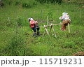 大垪和の田園風景：かかしと遊び心 115719231