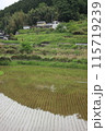 美しい日本の原風景：大垪和の棚田 115719239