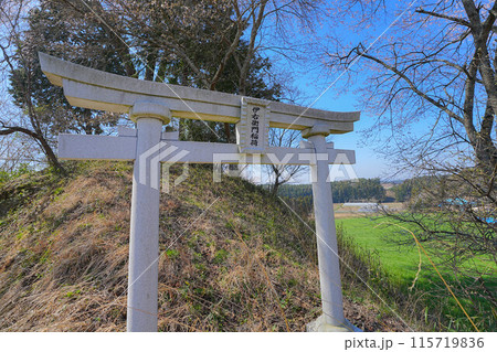 和久伊右衛門稲荷神社の桜 和久伊右衛門稲荷神社の桜 115719836