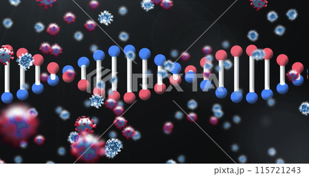 Image of 3d DNA strand spinning with Covid 19 coronavirus cells icons floating on black background 115721243