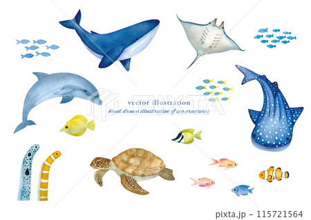 優しい水彩の海の生き物イラストセット 優しい水彩の海の生き物イラストセット 115721564