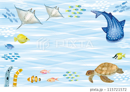 優しいタッチの海の生き物イラストセット 115721572