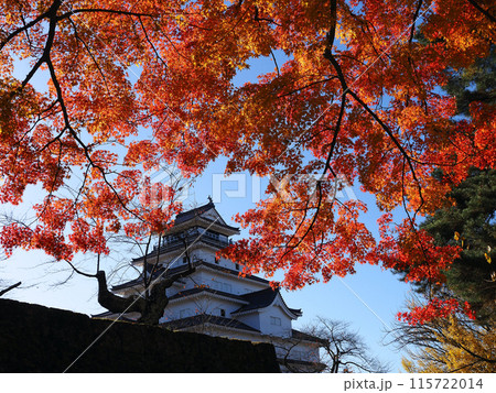 赤く紅葉したもみじが日差しで輝き、会津若松、鶴ヶ城とのコラボレーションが印象的で綺麗だ。 赤く紅葉したもみじが日差しで輝き、会津若松、鶴ヶ城とのコラボレーションが印象的で綺麗だ。 115722014