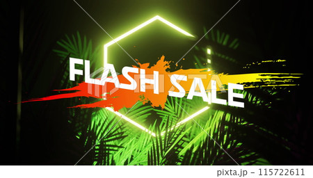 Image of flash sale text on hexagon over plantation against black background Image of flash sale text on hexagon over plantation against black background 115722611
