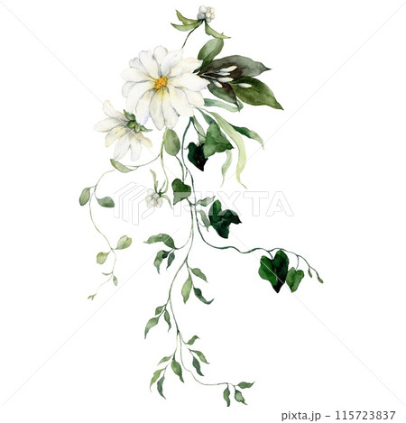 Watercolor floral card featuring flowers, bedstraw, buds and herbs. Hand-drawn composition of a plant bouquet on a white background. An outdoor illustration for design, printing or fabric background. Watercolor floral card featuring flowers, bedstraw, buds and herbs. Hand-drawn composition of a plant bouquet on a white background. An outdoor illustration for design, printing or fabric background. 115723837