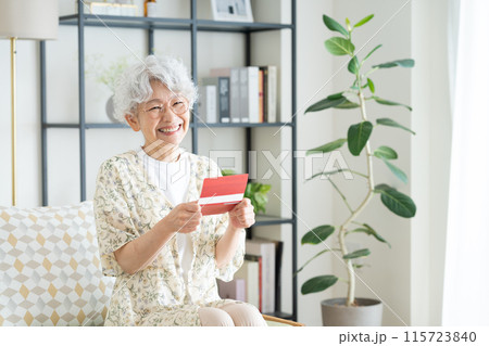銀行通帳を持つシニアの女性 115723840