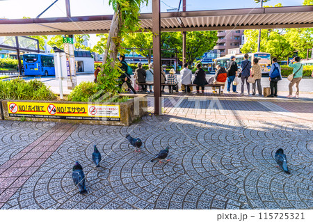 日本の横浜都市景観 NO!エサやり…ハト…。横浜市営地下鉄 上永谷駅前などを望む 日本の横浜都市景観 NO!エサやり…ハト…。横浜市営地下鉄 上永谷駅前などを望む 115725321