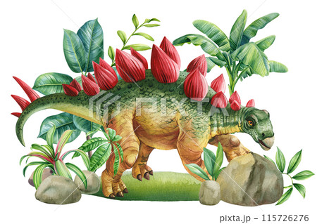 Dinosaurs in jungle forest, watercolor drawing of a stegosaurus dinosaur. Hand painted animal with prehistoric landscape 115726276