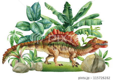 Dinosaurs in jungle forest, watercolor drawing of a stegosaurus dinosaur. Hand painted animal with prehistoric landscape 115726282