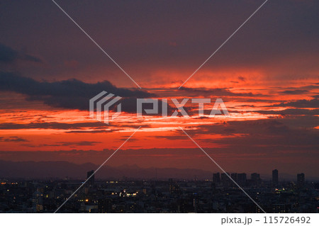 夕暮れの都心 115726492
