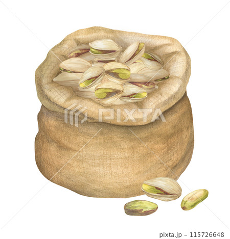 Pistachio nut in canvas bag watercolor illustration set. Botanical drawing sketch stylized. Isolated. Hand drawn, suitable for food packaging design Pistachio nut in canvas bag watercolor illustration set. Botanical drawing sketch stylized. Isolated. Hand drawn, suitable for food packaging design 115726648
