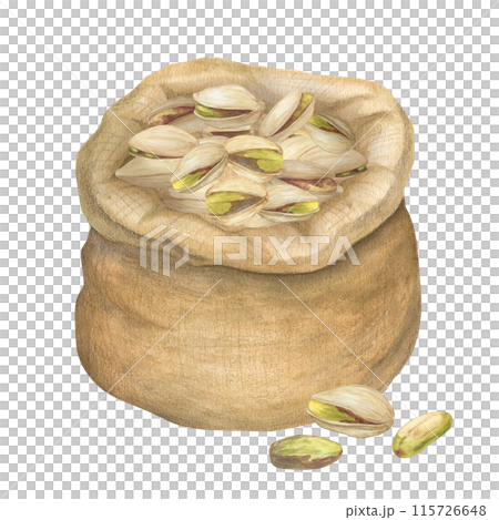 Pistachio nut in canvas bag watercolor illustration set. Botanical drawing sketch stylized. Isolated. Hand drawn, suitable for food packaging design Pistachio nut in canvas bag watercolor illustration set. Botanical drawing sketch stylized. Isolated. Hand drawn, suitable for food packaging design 115726648