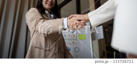 Professional Business Handshake Between Two Individuals in a Modern Office Setting Professional Business Handshake Between Two Individuals in a Modern Office Setting 115726721