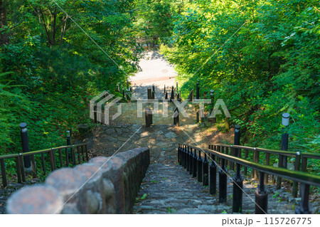 月見の森、急勾配の月への階段〈岐阜県海津市〉 115726775