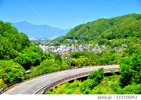 高遠町の街並みを望む(長野県伊那市)【2024.6】 高遠町の街並みを望む(長野県伊那市)【2024.6】 115726952