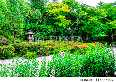 京都、一乗寺金福寺の庭園 115727405