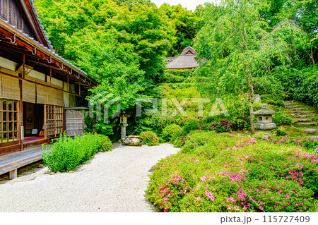 京都、一乗寺金福寺の庭園 115727409