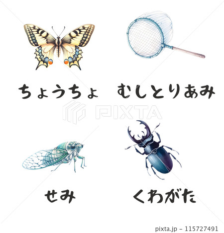 昆虫素材、昆虫、蝶と昆虫のいる昆虫たち① 115727491