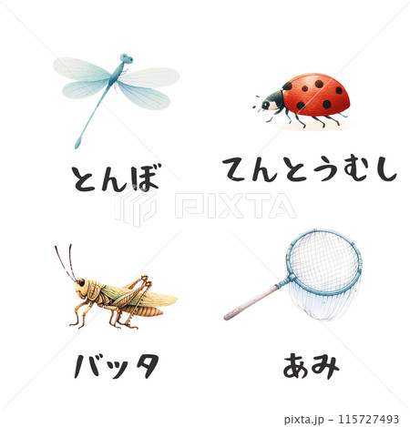 昆虫素材、昆虫、てんとう虫と昆虫のいる昆虫たち② 115727493