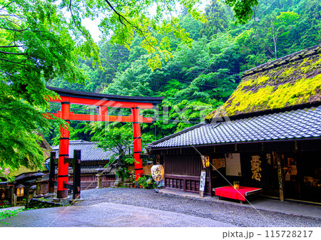 京都、奥嵯峨鳥居本の鳥居 115728217