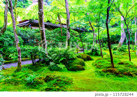 京都、嵯峨野祇王寺境内の庭園 115728244