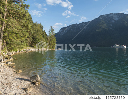 Shore of beautiful turquoise blue Achensee, Achen lake surrounded by green forest and Karwendel mountain range on sunny summer day with blue sky, golden hour. Tyrol, Austria Shore of beautiful turquoise blue Achensee, Achen lake surrounded by green forest and Karwendel mountain range on sunny summer day with blue sky, golden hour. Tyrol, Austria 115728350