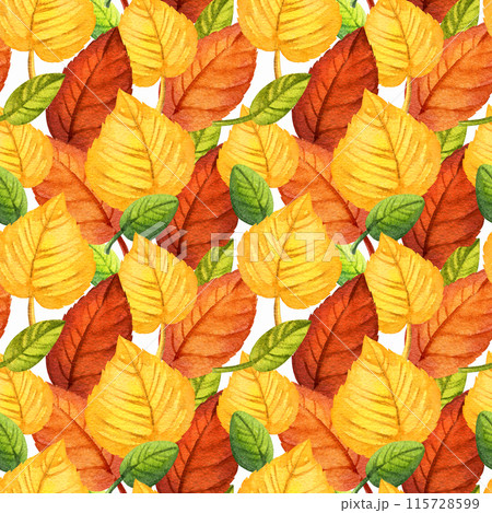 watercolor seamless pattern of autumn forest leaves, hand drawn illustration of yellow and orange forest leaves, green and brown different leaves, sketch isolated on white background watercolor seamless pattern of autumn forest leaves, hand drawn illustration of yellow and orange forest leaves, green and brown different leaves, sketch isolated on white background 115728599