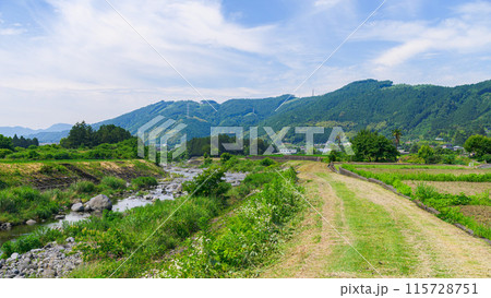 静岡県・富士宮市柚野付近の田舎風景(初夏) 静岡県・富士宮市柚野付近の田舎風景(初夏) 115728751