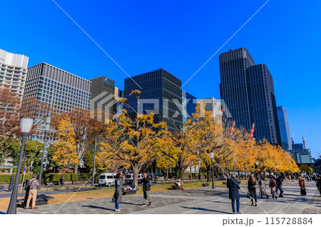 東京　千代田区 丸の内　行幸通りの紅葉 115728884