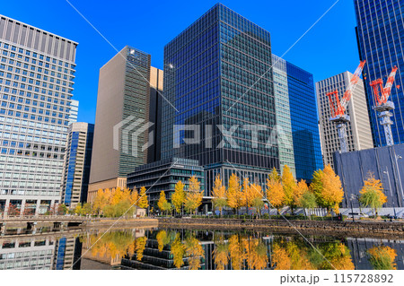 東京　千代田区 丸の内　みずほ丸の内タワー周辺の紅葉 115728892