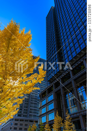 東京　千代田区 丸の内　新丸の内ビル周辺の紅葉 115728898