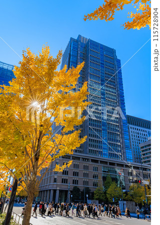 東京 千代田区 丸の内 丸の内ビル周辺の紅葉 東京 千代田区 丸の内 丸の内ビル周辺の紅葉 115728904