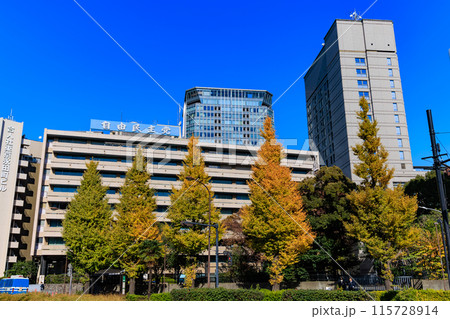 東京　千代田区 永田町　自由民主党本部 周辺の紅葉 115728914