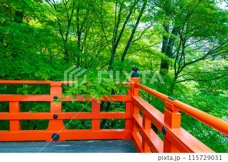 京都 北野天満宮のもみじ苑 朱の舞台と青もみじ 京都 北野天満宮のもみじ苑 朱の舞台と青もみじ 115729031