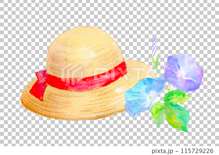 水彩イラスト 麦わら帽子と朝顔 水彩イラスト 麦わら帽子と朝顔 115729226