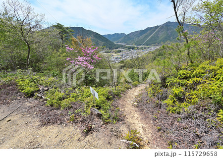丹波「岩尾城」野面積みの石垣と登城道 丹波「岩尾城」野面積みの石垣と登城道 115729658