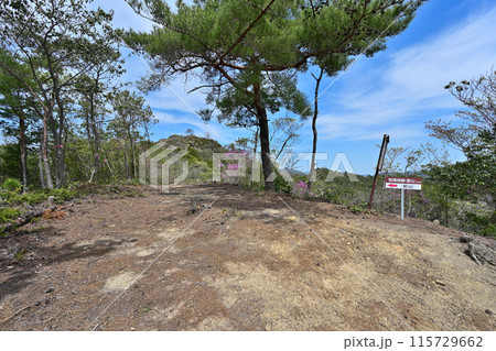 丹波「岩尾城」野面積みの石垣と登城道 丹波「岩尾城」野面積みの石垣と登城道 115729662