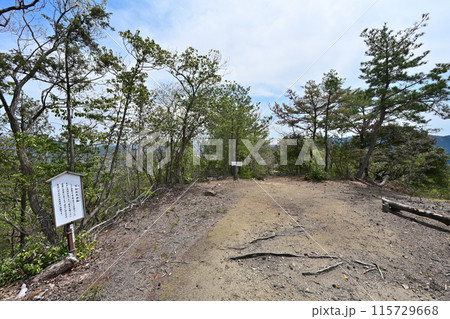 丹波「岩尾城」野面積みの石垣と登城道 丹波「岩尾城」野面積みの石垣と登城道 115729668